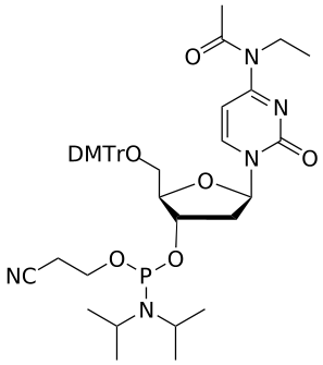 DNA C(Et,Ac) amidite - WuXi TIDES
