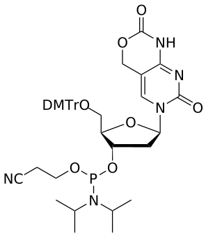 DNA 5-HOM C(carbamate) amidite  - WuXi TIDES