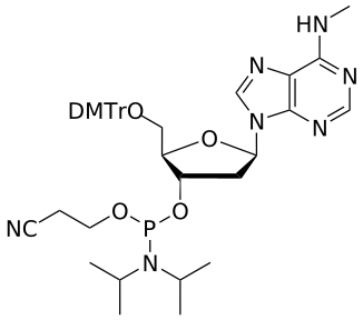 DNA A(Me) amidite - WuXi TIDES