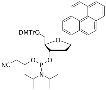 DNA pyrene amidite - WuXi TIDES