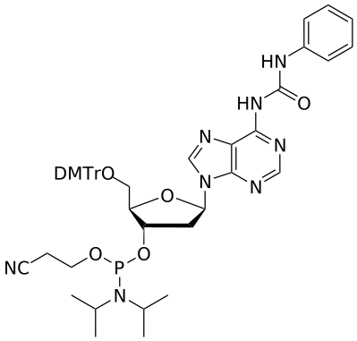 DNA A(phenylcarbamoyl) amidite - WuXi TIDES