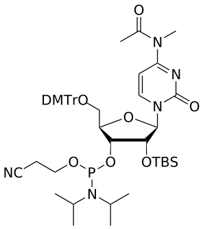 2'-OTBS C(Me,Ac) amidite - WuXi TIDES