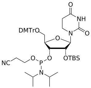 2'-OTBS 5,6-dihydro-U amidite - WuXi TIDES