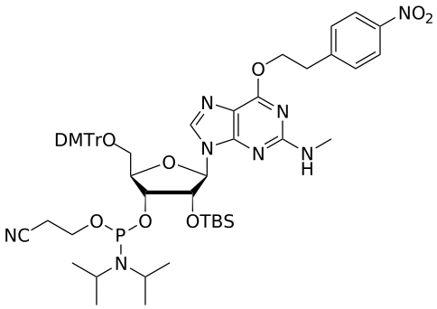 2'-OTBS O6-NPE-G(Me) amidite - WuXi TIDES