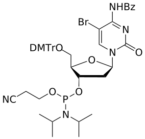 DNA 5-Br-C(Bz) amidite - WuXi TIDES
