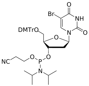 DNA 5-Br-U amidite - WuXi TIDES