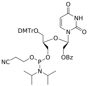 UNA 2'-OBz U amidite - WuXi TIDES