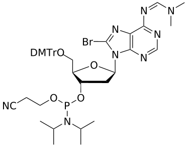 DNA 8-Br-A(dmf) amidite - WuXi TIDES