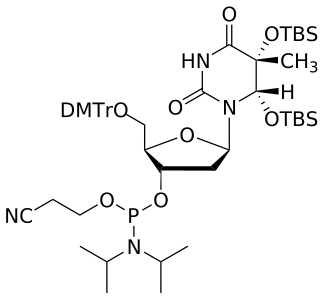 DNA 5-Me-5,6-diOTBS-T amidite - WuXi TIDES