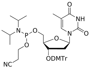 DNA T 3'-DMTr 5'-amidite - WuXi TIDES
