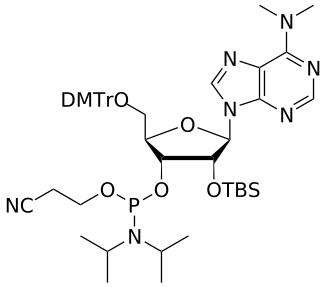 2'-OTBS A(di-Me) amidite - WuXi TIDES