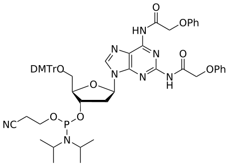 DNA 2-amino-A(N2, N6-dipac) amidite - WuXi TIDES