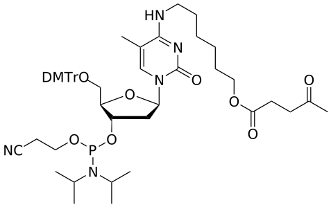 DNA MeC(C6-O-Lev) amidite - WuXi TIDES
