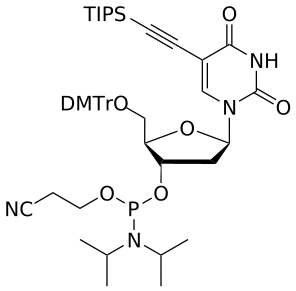 DNA 5-Ethynyl(TIPS)-U amidite - WuXi TIDES