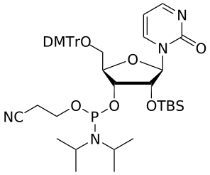 2’-OTBS Pyrimidinone amidite - WuXi TIDES