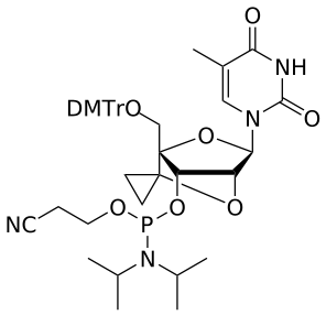 scpBNA™ T amidite - WuXi TIDES
