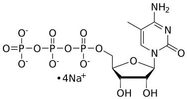 5-Me-CTP, 0.1 M Sodium Salt Solution - WuXi TIDES