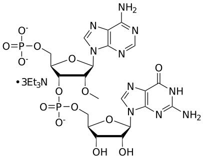 pApG dimer,TEA salt - WuXi TIDES