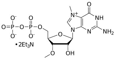 N7-Me-3‘-OMe GDP,TEA salt - WuXi TIDES