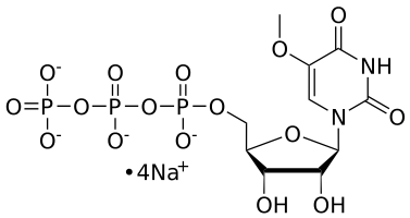 5-OMe-UTP, 0.1 M Sodium Salt Solution - WuXi TIDES