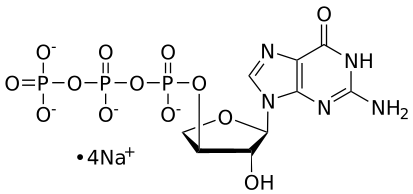 tGTP, 0.1 M Sodium Salt Solution - WuXi TIDES