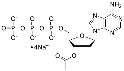 3'-O-Ac-dATP, 0.1 M Sodium Salt Solution - WuXi TIDES