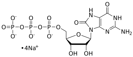 8-oxo-GTP, 0.1 M Sodium Salt Solution - WuXi TIDES