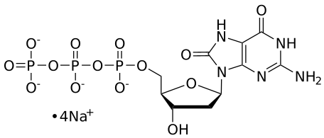 8-oxo-dGTP, 0.1 M Sodium Salt Solution - WuXi TIDES