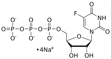 5-F-UTP, 0.1 M Sodium Salt Solution - WuXi TIDES