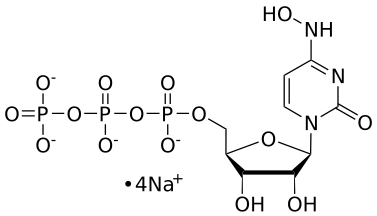 N4-hydroxy-CTP, 0.1 M Sodium Salt Solution - WuXi TIDES