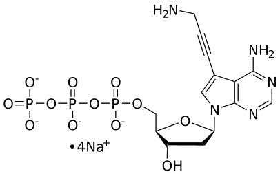 7De-((3''-amino)-propynyl)-dATP, 0.1 M Sodium Salt Solution - WuXi TIDES