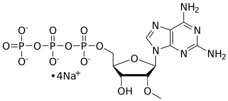 2'-OMe 2-amino-ATP, 0.1 M Sodium Salt Solution - WuXi TIDES