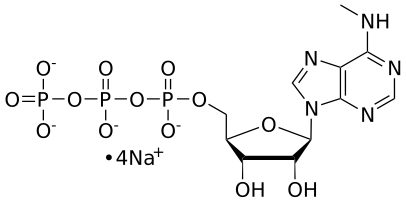 6-methyl-ATP, 0.1 M Sodium Salt Solution - WuXi TIDES