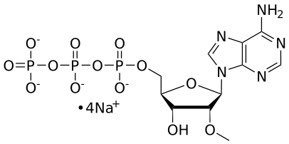 2'-OMe ATP, 0.1 M Sodium Salt Solution - WuXi TIDES