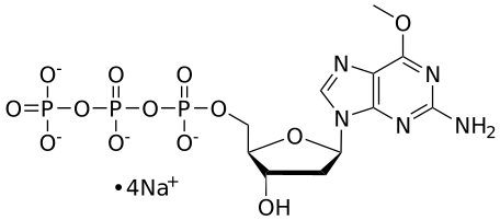 6-OMe-dGTP, 0.1 M Sodium Salt Solution - WuXi TIDES