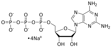 2-amino-ATP, 0.1 M Sodium Salt Solution - WuXi TIDES
