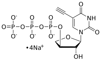5-ethynyl-tUTP, 0.1 M Sodium Salt Solution - WuXi TIDES