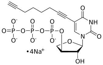 5-octa-1,7-diyne-tUTP, 0.1 M Sodium Salt Solution - WuXi TIDES