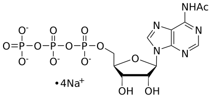 6-acetyl-ATP, 0.1 M Sodium Salt Solution - WuXi TIDES