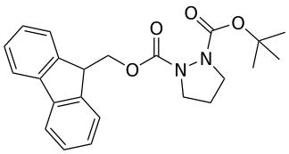 1-((9H-Fluoren-9-yl)methyl) 2-tert-butyl pyrazolidine-1,2-dicarboxylate - WuXi TIDES