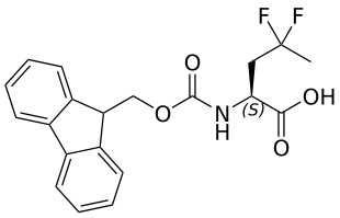 (S)-2-Fmoc-4,4-difluoropentanoic Acid - WuXi TIDES