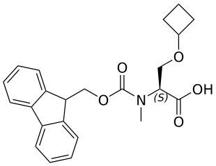N-Fmoc-N-Me-L-Ser(Cyclobutyl)-OH - WuXi TIDES