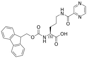Nalpha-Fmoc-Ndelta-pyrazinylcarbonyl-L-ornithine - WuXi TIDES