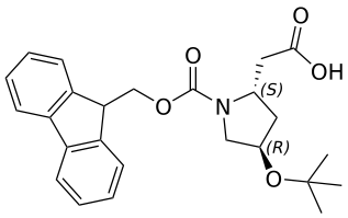 Fmoc-L-β-Homohyp(tBu)-OH - WuXi TIDES