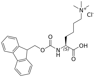 Fmoc-Lys(Me3)-OH chloride - WuXi TIDES