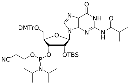 2'-OTBS G(iBu) amidite - WuXi TIDES