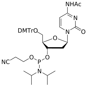 DNA C(Ac) amidite - WuXi TIDES