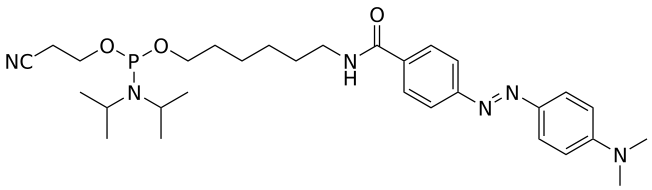 5'-Dabcyl amidite - WuXi TIDES