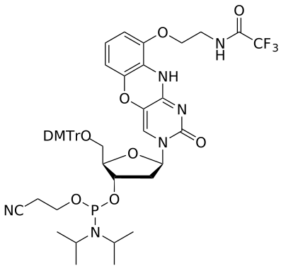 DNA G-clamp (TFA) amidite - WuXi TIDES