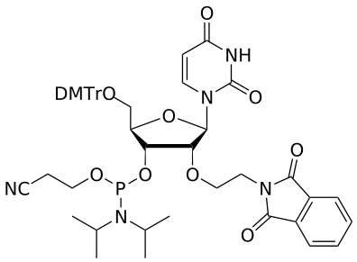 2'-(PHT)aminoethyl U amidite - WuXi TIDES